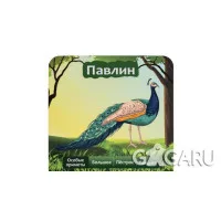 настольная игра 10 вопросов. Животные