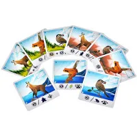 настольная игра Альпы