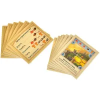 настольная игра Catan: Мореходы