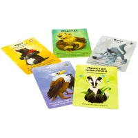 настольная игра Детская мафия. Подарочное издание