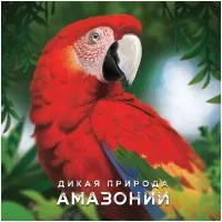 настольная игра Дикая природа Амазонии: Новые обитатели