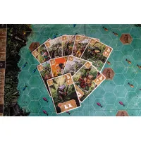 настольная игра Фейя. Болотный Край