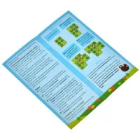 настольная игра Фруктовый сад
