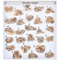 настольная игра Gloomhaven. Мрачная гавань. Челюсти льва