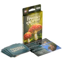 настольная игра Грибы и корни: Шёпот леса