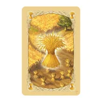 настольная игра Колонизаторы / Catan. Расширение для 5-6 игроков