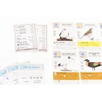 настольная игра Крылья. Дополнение: Птицы Океании