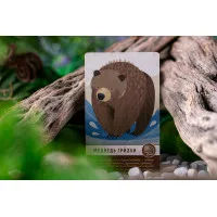 настольная игра Маленькая Каскадия