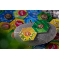 настольная игра Маленькая Каскадия