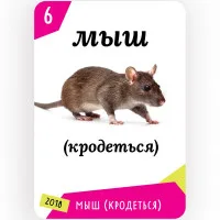 настольная игра МЕМОНОМИКА