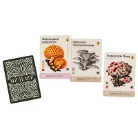 настольная игра Мицелий