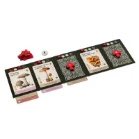 настольная игра Мицелий