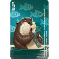 настольная игра Similo: Животные