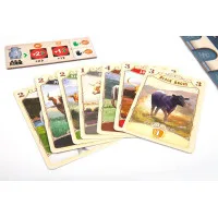 настольная игра Великий Западный Путь. Второе издание
