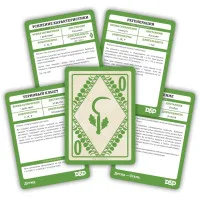 настольная ролевая игра Dungeons & Dragons. Карты заклинаний: Друид