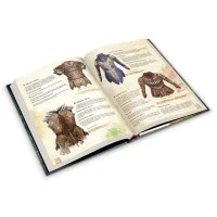 настольная ролевая игра Fateforge. Летописи Эаны. Книга 1. Искатели приключений