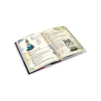 настольная ролевая игра Fateforge. Летописи Эаны. Книга 2. Гримуар