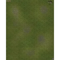 настольная ролевая игра Pathfinder. Игровое поле: Таверна