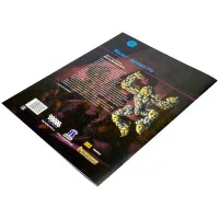 настольная ролевая игра Pathfinder. Модуль: Маски Живого Бога