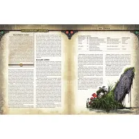 настольная ролевая игра Pathfinder. Серия приключений Расколотая звезда. Выпуск № 4: За дверью судного дня