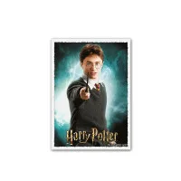 протекторы Dragon Shield (66 х 91 мм., 100 шт., матовые): Art Matte - Harry Potter / Гарри Поттер