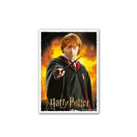 протекторы Dragon Shield (66 х 91 мм., 100 шт., матовые): Art Matte - Ron Weasley / Рон Уизли